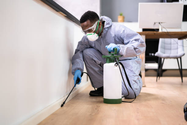 Best Residential Pest Control  in Kings Bay Base, GA